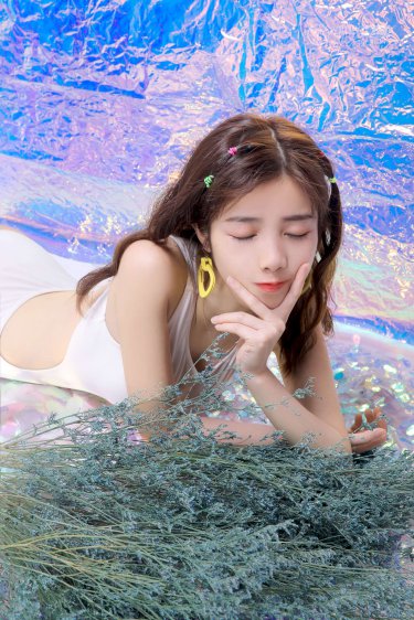 懶貓的獅子倒影劇情介紹