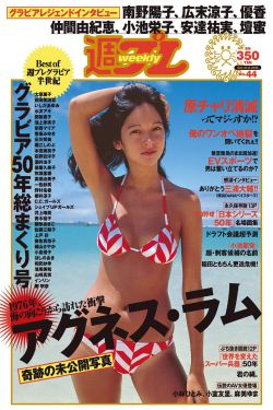 民主之瀾
