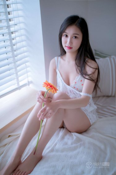 免費h網