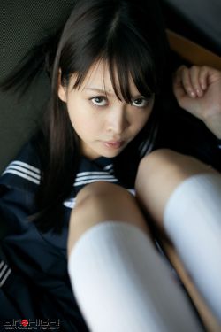 辛迪寵物