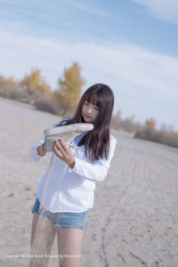 保鏢惠特尼