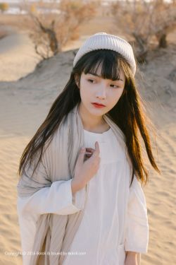 流星蝴蝶劍王豔