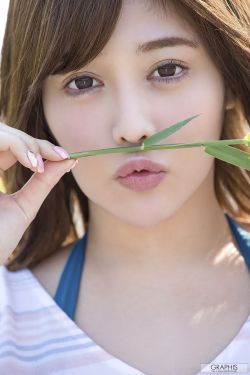 上門女婿劇情