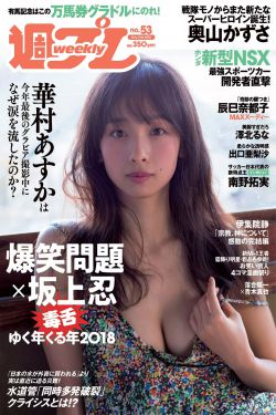情感戰爭電視劇全集