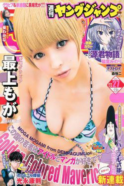 我的冰山女總監