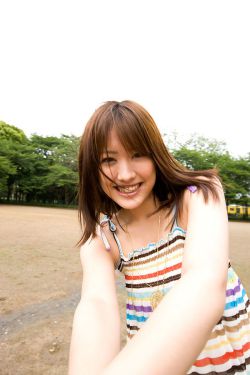 夏至未至演員表